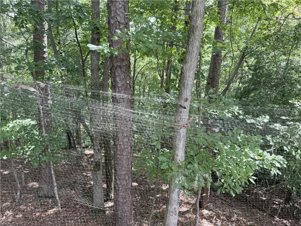 single family residence for sale at 00 Calhoun Road, Dahlonega, GA 30533 — photo 5