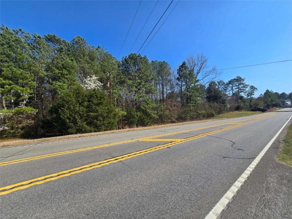unimproved land for sale at 1509 Highway 100, Summerville, GA 30747 — photo 3