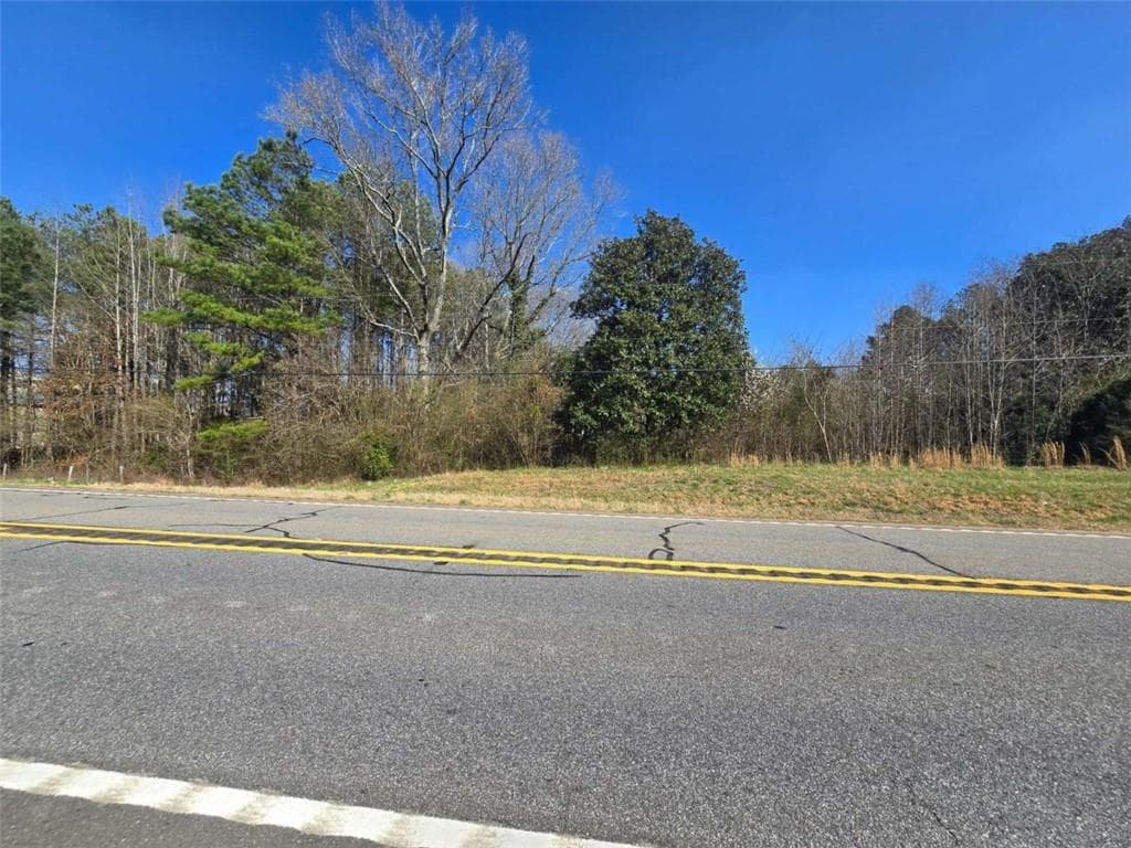 unimproved land for sale at 1509 Highway 100, Summerville, GA 30747 — photo 4
