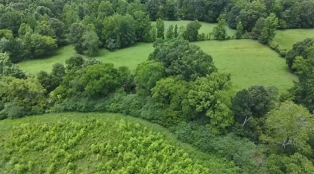 unimproved land for sale at 0 Culpepper Road, Calhoun, GA 30701 — photo 5