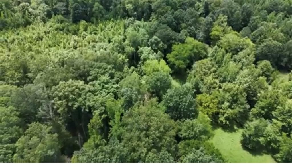 unimproved land for sale at 0 Culpepper Road, Calhoun, GA 30701 — photo 6