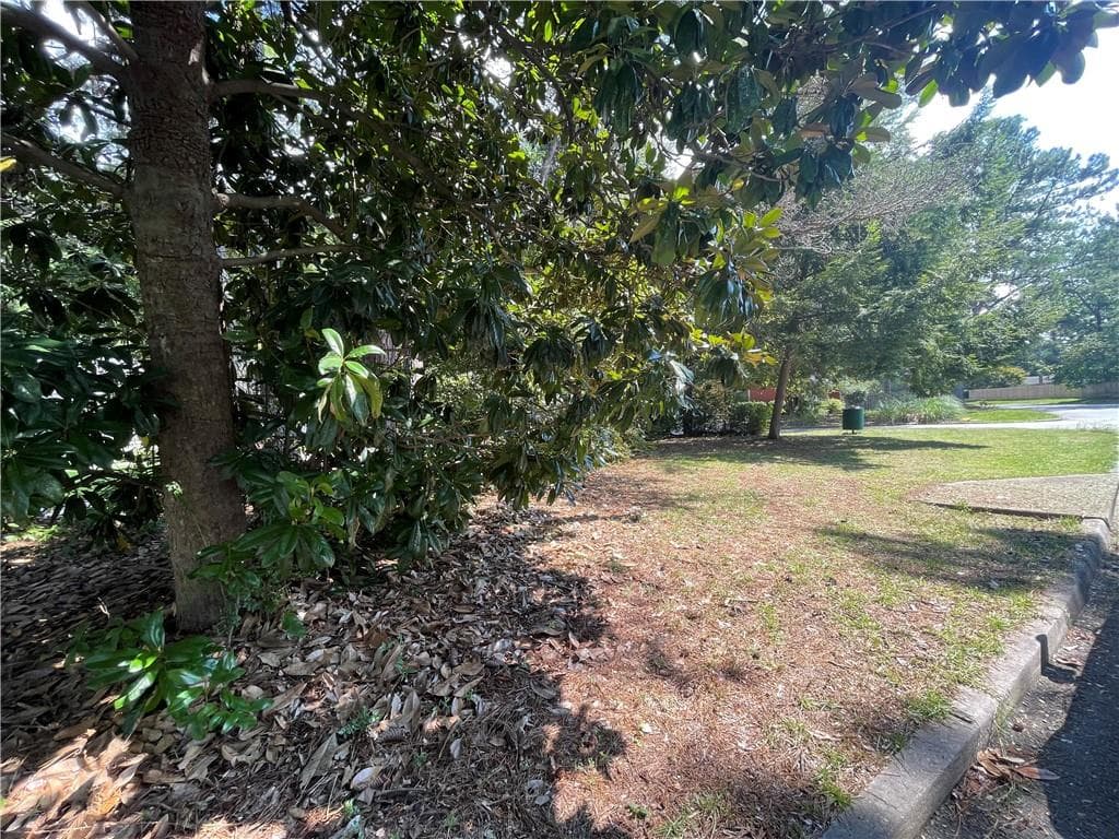 other for sale at 0 Ballye Shannon Pike Street, Union City, GA 30291 — photo 3