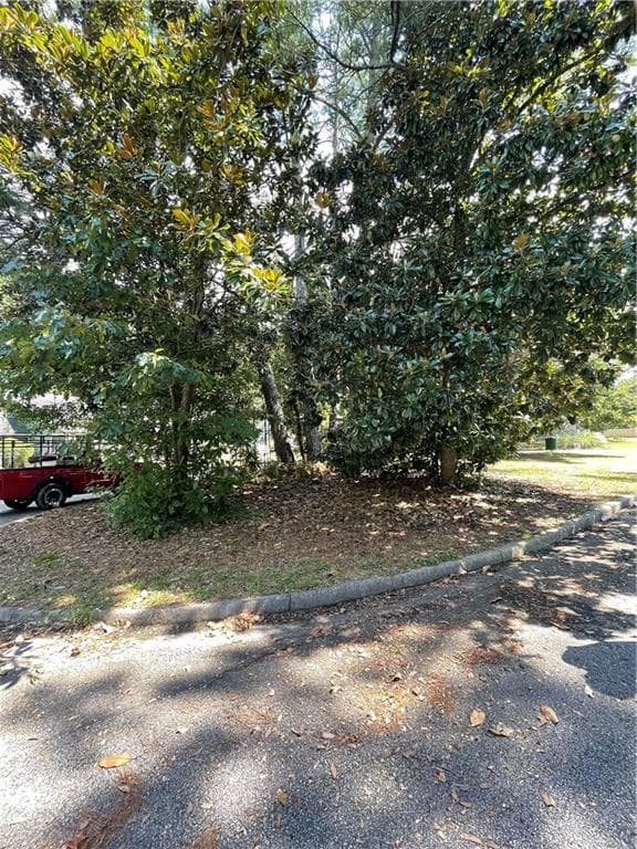 other for sale at 0 Ballye Shannon Pike Street, Union City, GA 30291 — photo 4