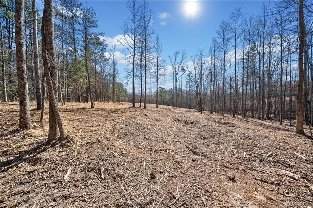 single family residence sold at 472 Mt. Olive Church Lane, White, GA 30184