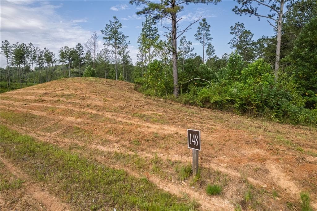 single family residence for sale at LT 148 Eddy Waters Circle, Talking Rock, GA 30175 — photo 9