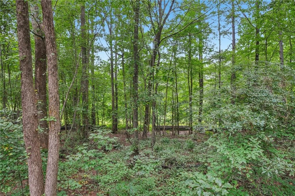 single family residence for sale at 0 Bill Rutledge Road, Winder, GA 30680 — photo 3