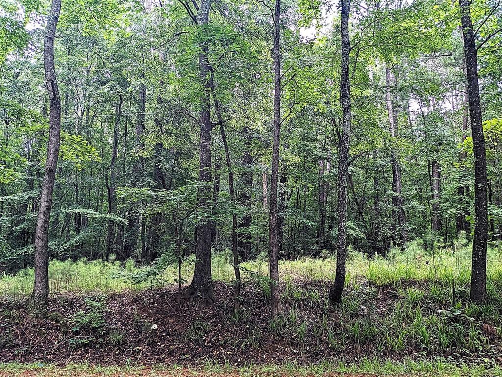 other sold at 392 Old Griffin Road, Hampton, GA 30228