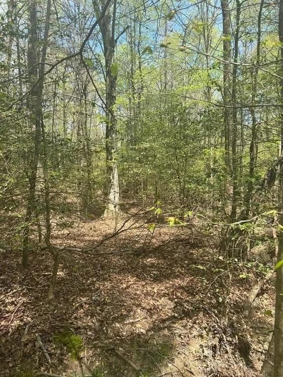 single family residence under contract at 0 Holly Court, Ellijay, GA 30536 — photo 2