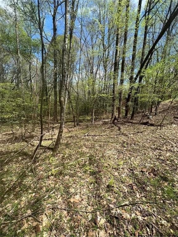 single family residence under contract at 0 Holly Court, Ellijay, GA 30536 — photo 3