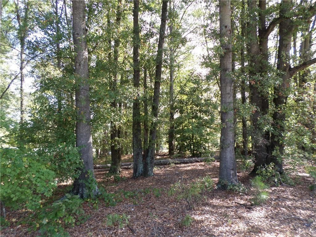 other for sale at 4595 Austell Powder Springs Road, Powder Springs, GA 30127 — photo 8