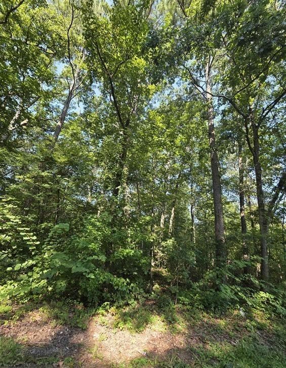 single family residence sold at 34-37 County Road 249, Leesburg, AL 35983