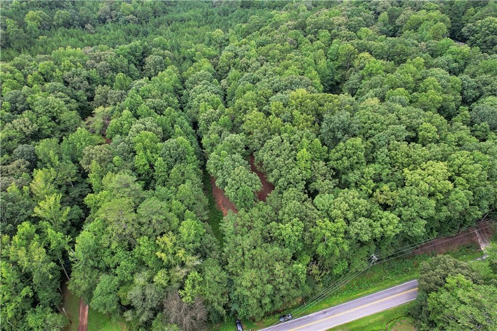 unimproved land for sale at 5287 Yeager Road, Douglasville, GA 30135 — photo 3