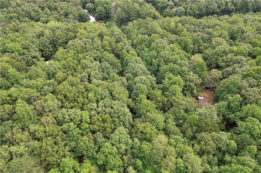 unimproved land for sale at 5287 Yeager Road, Douglasville, GA 30135 — photo 5