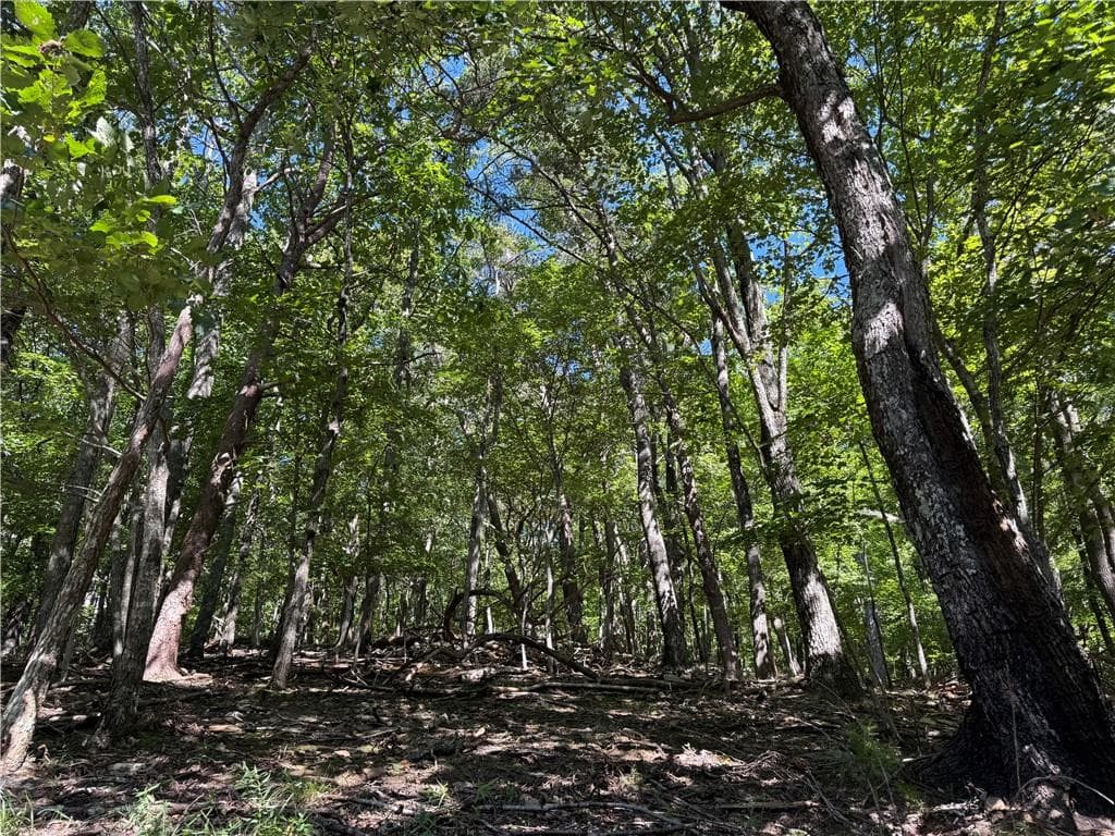 single family residence for sale at 0 Moss Patch Trail, Jasper, GA 30143