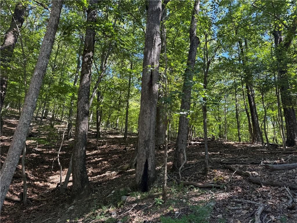 single family residence for sale at 0 Moss Patch Trail, Jasper, GA 30143 — photo 3