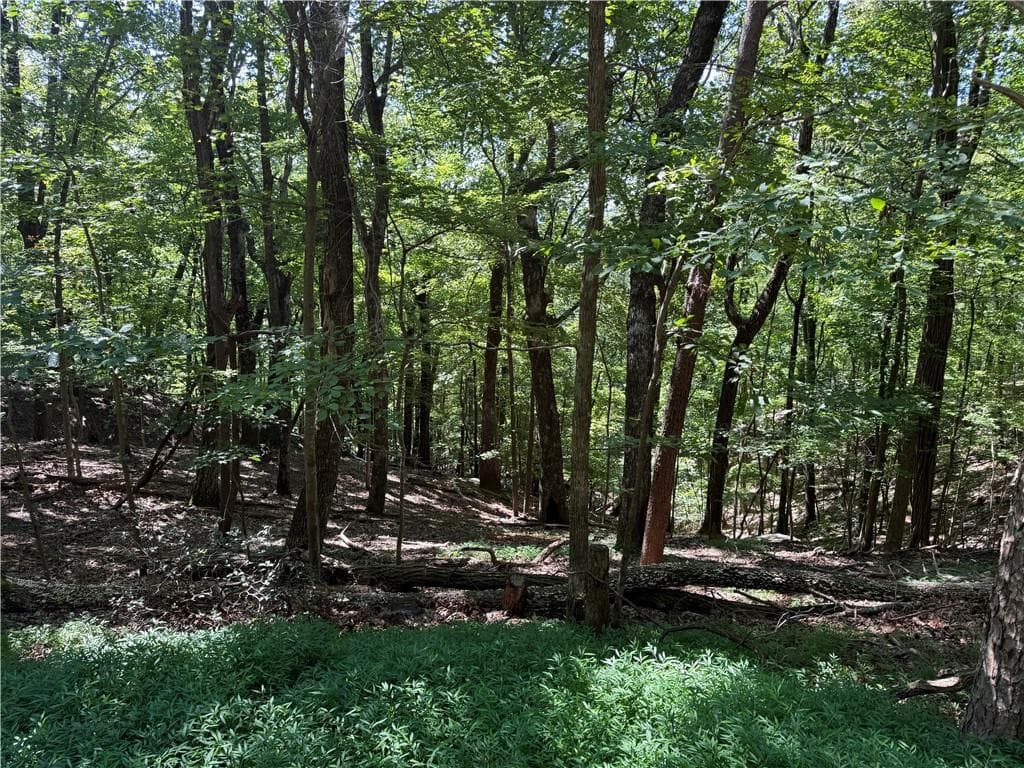 single family residence for sale at 0 Moss Patch Trail, Jasper, GA 30143 — photo 4
