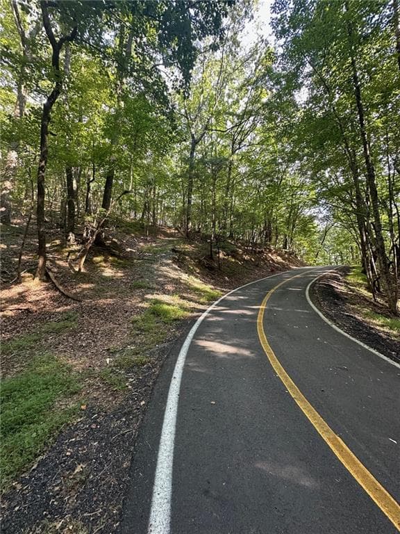 single family residence for sale at LT1321 Coachwhip Trail, Jasper, GA 30143 — photo 3