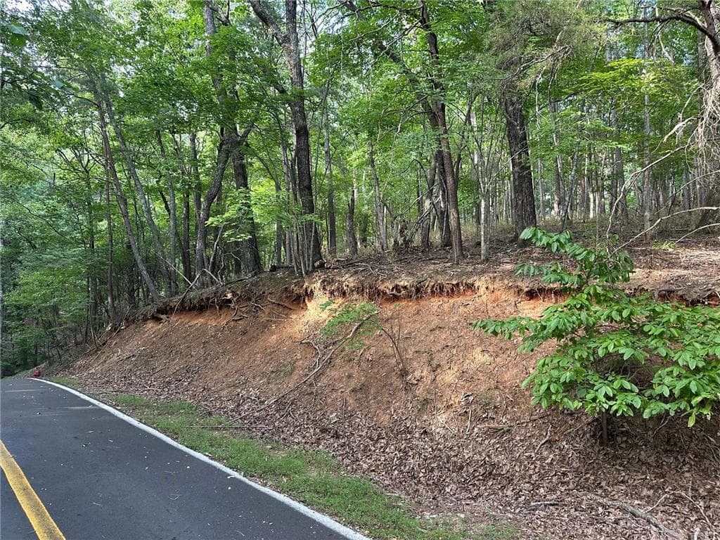 single family residence for sale at LT1321 Coachwhip Trail, Jasper, GA 30143 — photo 4