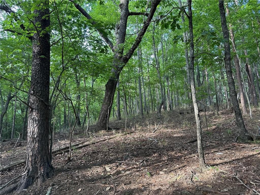 single family residence for sale at LT1321 Coachwhip Trail, Jasper, GA 30143 — photo 5