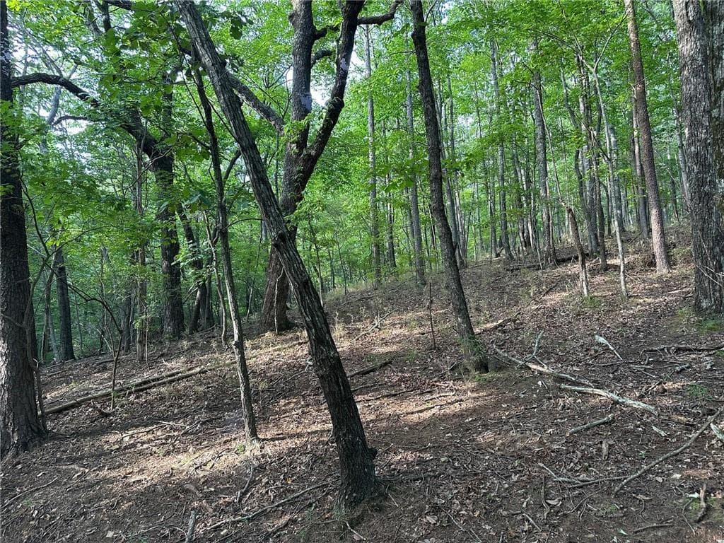 single family residence for sale at LT1321 Coachwhip Trail, Jasper, GA 30143 — photo 6