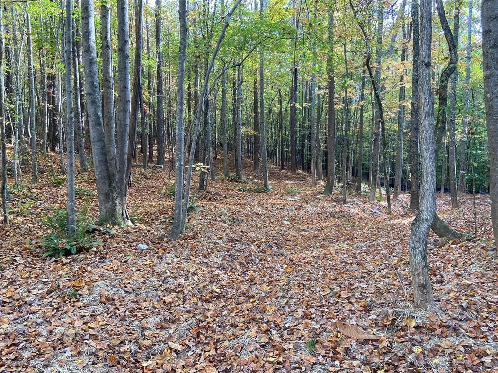 451 Lone Bear Path
