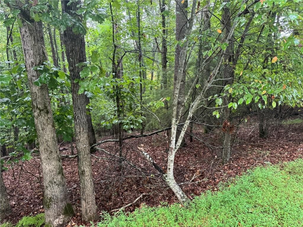 unimproved land for sale at 0 Enchanted Woods Drive, Blairsville, GA 30512 — photo 2