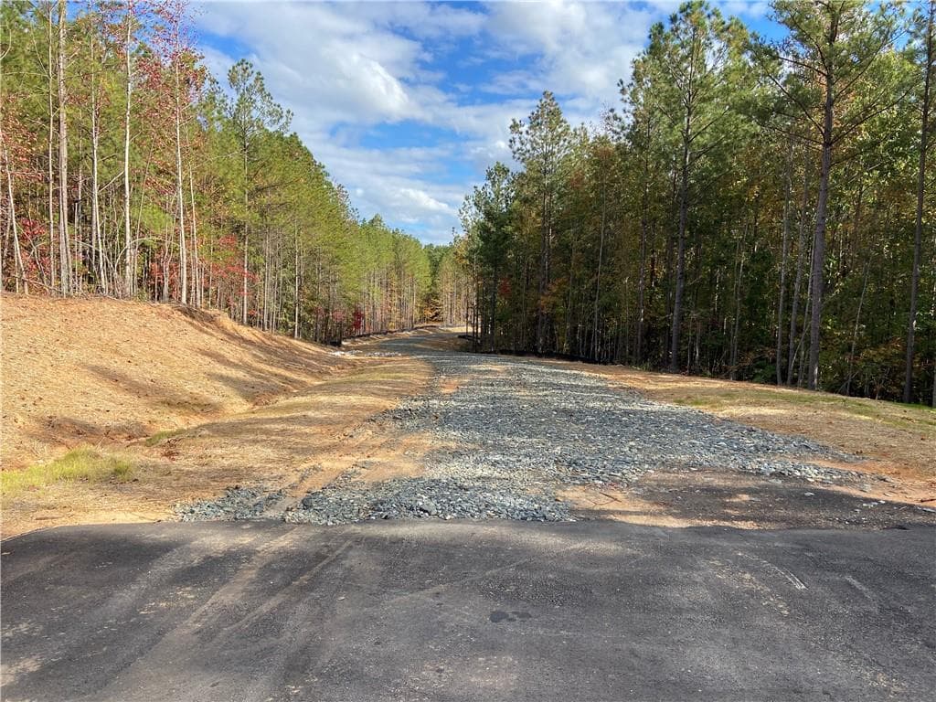 other for sale at #3 Lone Bear Path Path, Dallas, GA 30132 — photo 2