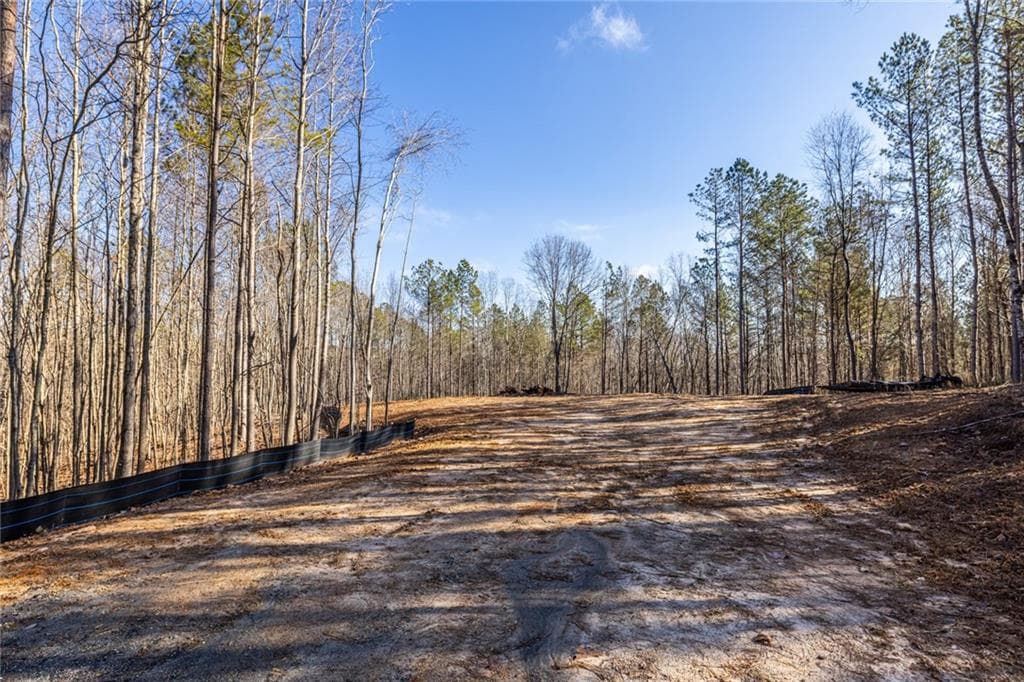 other for sale at #3 Lone Bear Path Path, Dallas, GA 30132 — photo 4