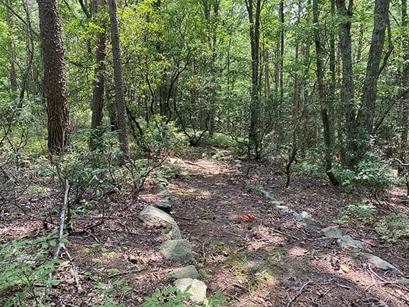 single family residence for sale at 280 Vistaview Parkway, Jasper, GA 30143 — photo 4