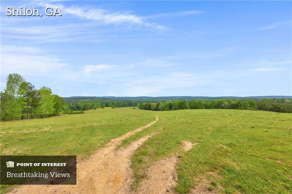 3 bedroom, 1 bathroom other under contract at 2450 Chestnut Grove Road, Shiloh, GA 31826 — photo 3