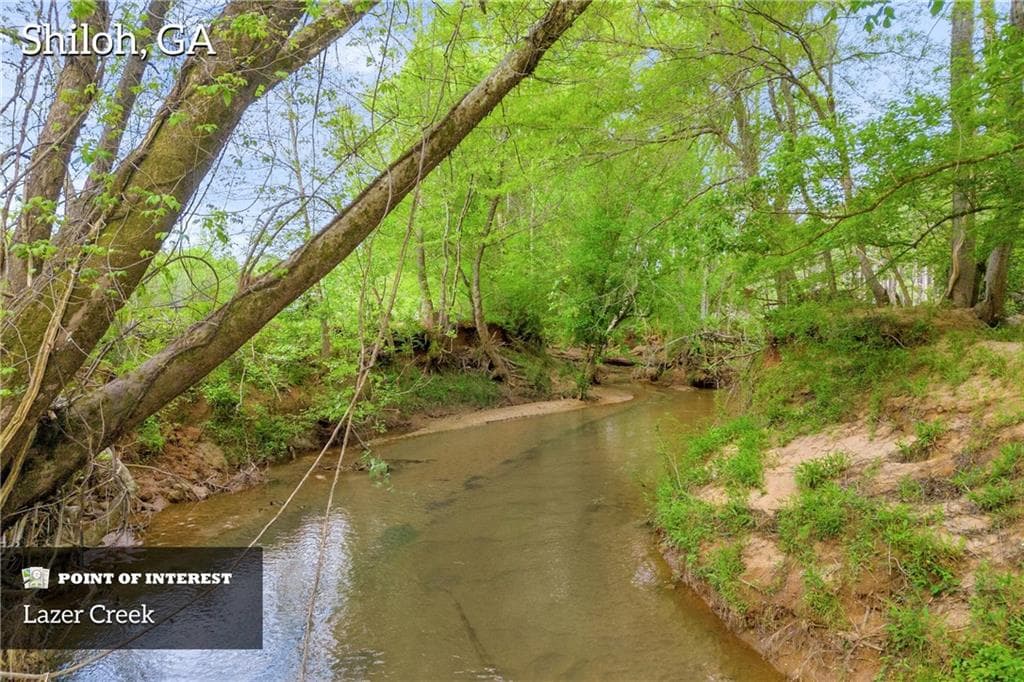 3 bedroom, 1 bathroom other under contract at 2450 Chestnut Grove Road, Shiloh, GA 31826 — photo 4