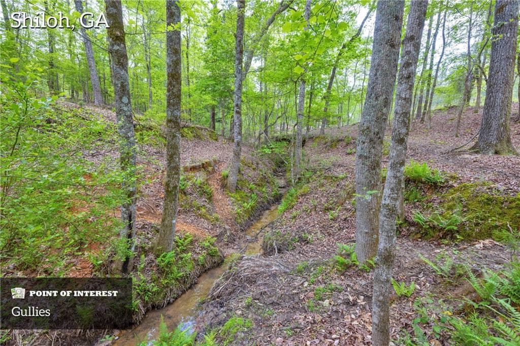 3 bedroom, 1 bathroom other under contract at 2450 Chestnut Grove Road, Shiloh, GA 31826 — photo 5