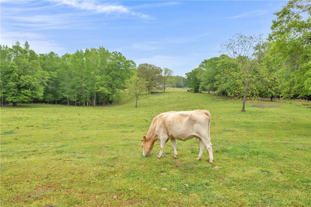 3 bedroom, 1 bathroom other under contract at 2450 Chestnut Grove Road, Shiloh, GA 31826 — photo 9