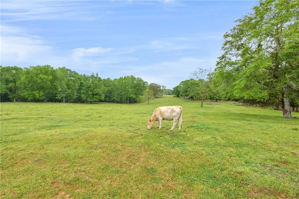 3 bedroom, 1 bathroom other under contract at 2450 Chestnut Grove Road, Shiloh, GA 31826 — photo 10