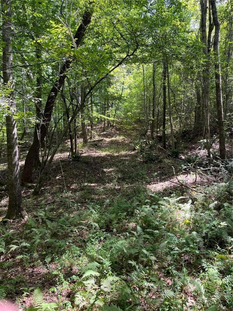 other for sale at 0 Ga Highway 120, Tallapoosa, GA 30176