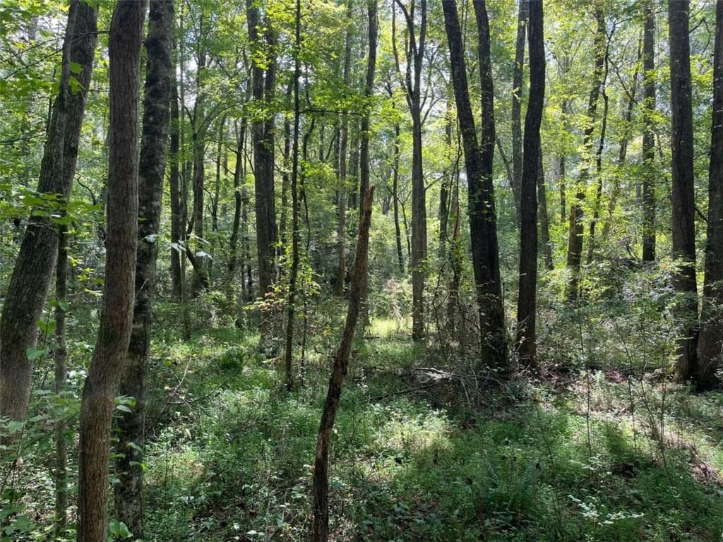 other for sale at 0 Ga Highway 120, Tallapoosa, GA 30176 — photo 2