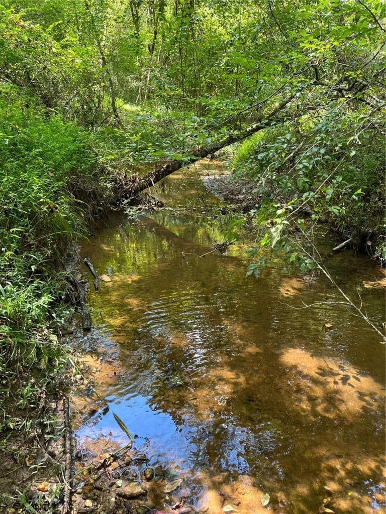 other for sale at 0 Ga Highway 120, Tallapoosa, GA 30176 — photo 3