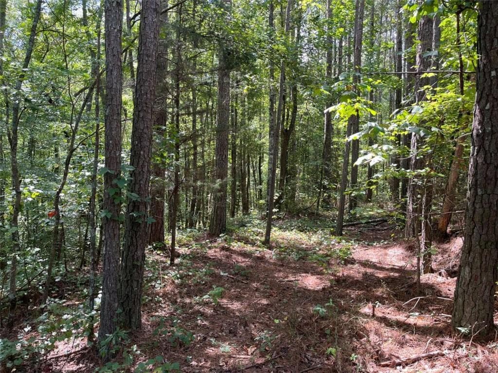 other for sale at 0 Ga Highway 120, Tallapoosa, GA 30176 — photo 4
