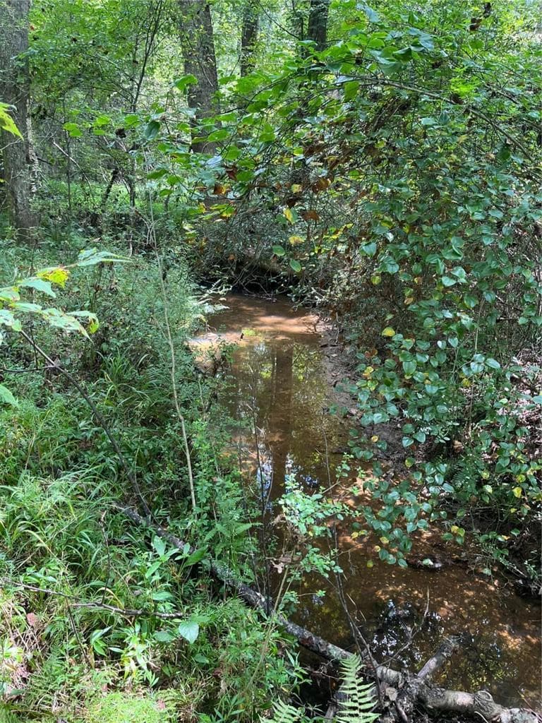 other for sale at 0 Ga Highway 120, Tallapoosa, GA 30176 — photo 5