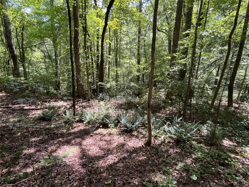 other for sale at 0 Ga Highway 120, Tallapoosa, GA 30176 — photo 6