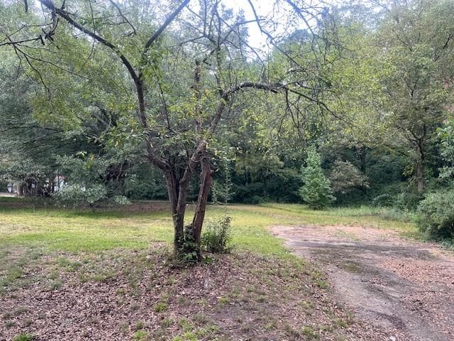 other for sale at 709 Ridge Avenue, Stone Mountain, GA 30083 — photo 3