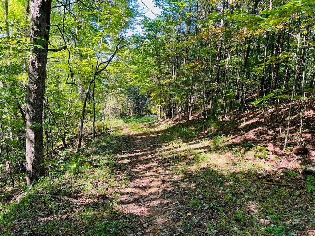 2 bedroom, 1 bathroom single family residence sold at 220 Maxwell Mountain Road, Blue Ridge, GA 30513