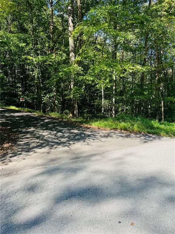 single family residence for sale at 4/ 5 Maxwell Mountain Road, Ellijay, GA 30540 — photo 3