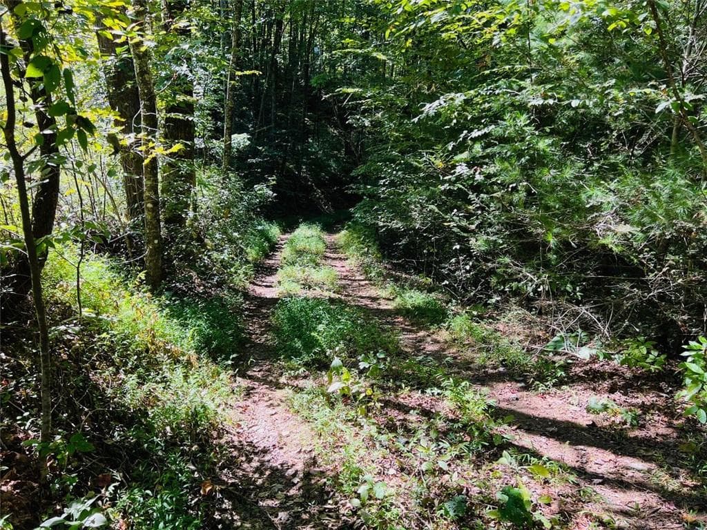 single family residence for sale at 4/ 5 Maxwell Mountain Road, Ellijay, GA 30540 — photo 5