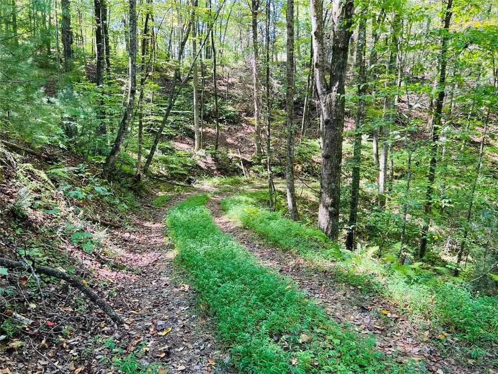 single family residence for sale at 4/ 5 Maxwell Mountain Road, Ellijay, GA 30540 — photo 6