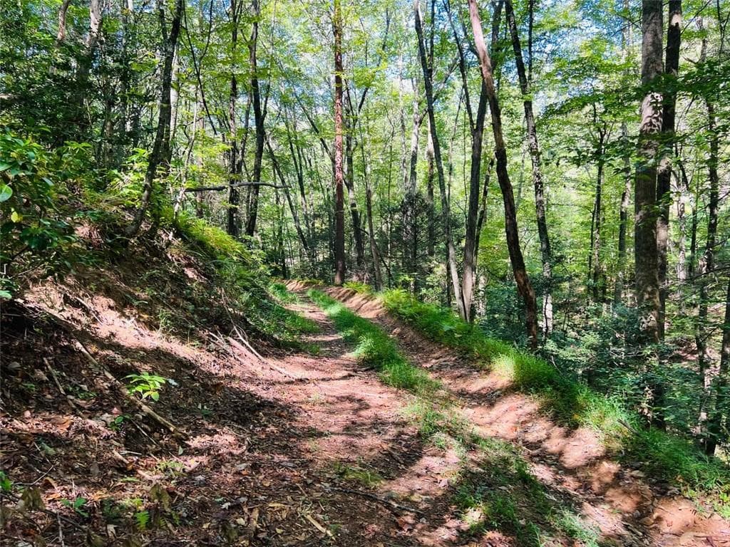 single family residence for sale at 4/ 5 Maxwell Mountain Road, Ellijay, GA 30540 — photo 7