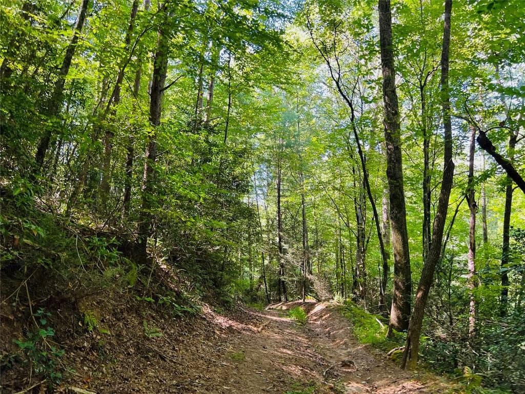 single family residence for sale at 4/ 5 Maxwell Mountain Road, Ellijay, GA 30540 — photo 8