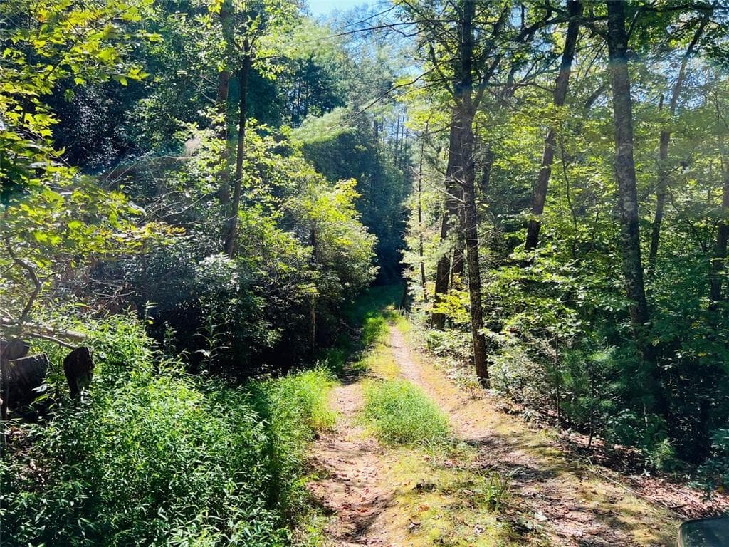 single family residence for sale at 4/ 5 Maxwell Mountain Road, Ellijay, GA 30540 — photo 9