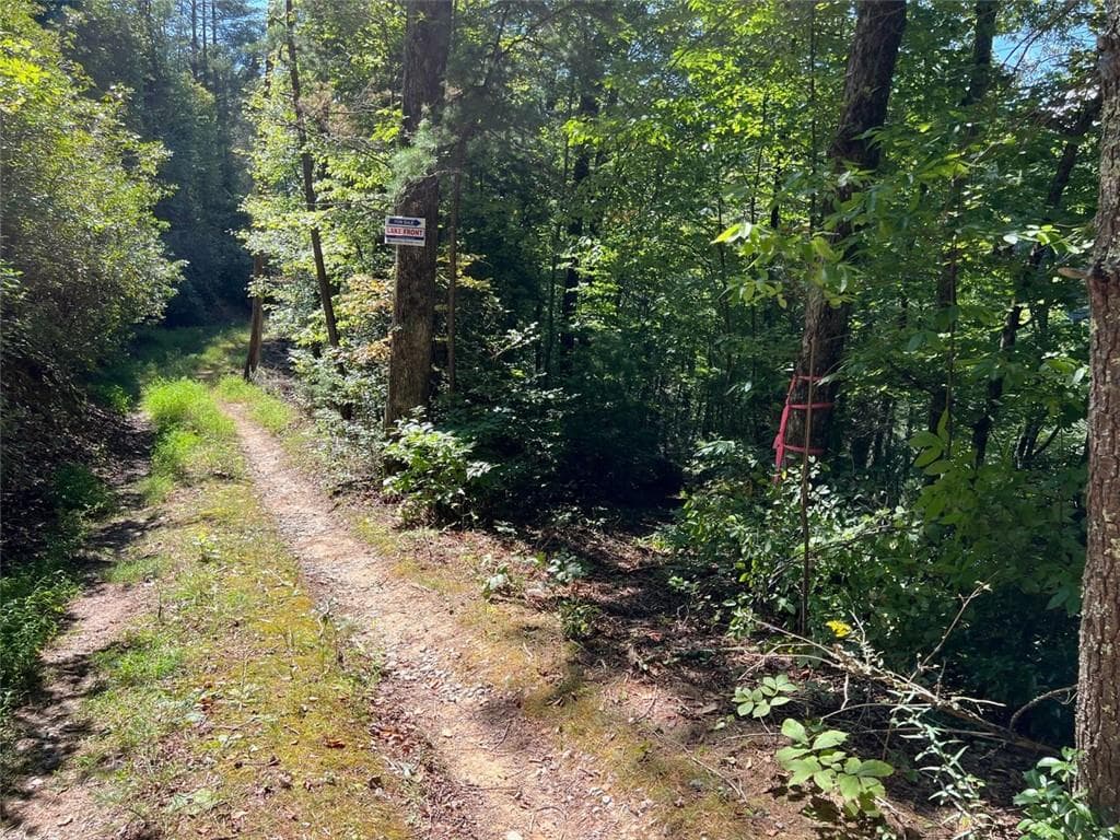 single family residence for sale at 4/ 5 Maxwell Mountain Road, Ellijay, GA 30540 — photo 10