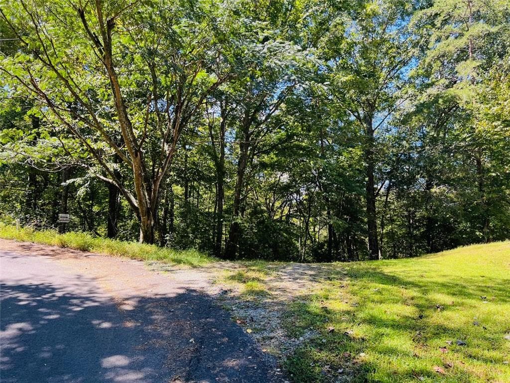 single family residence for sale at 4/ 5 Maxwell Mountain Road, Ellijay, GA 30540 — photo 4